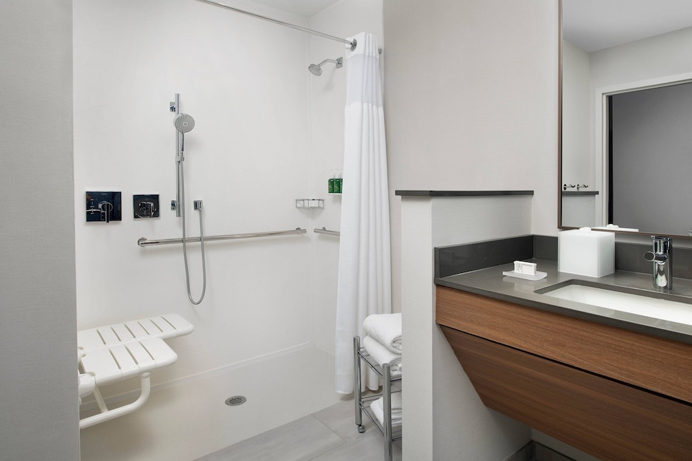 Room, 1 King Bed (Mobility/Hearing Access, Roll-in Shwr) - Photo 7
