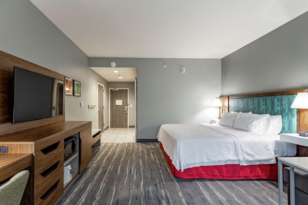 Room, 1 King Bed, Accessible, Refrigerator & Microwave (Roll-In Shower) photo 2