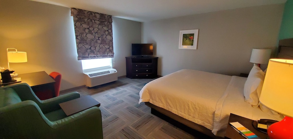 Room, 1 King Bed, Accessible, Non Smoking photo 2