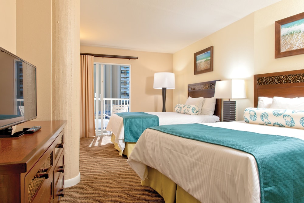 Suite, 1 Bedroom, Kitchenette photo 3