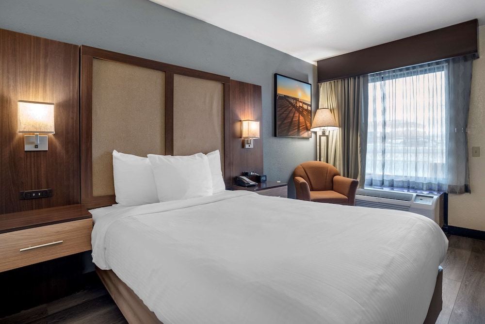 Standard Room, 1 Queen Bed, Accessible, Refrigerator & Microwave (Pet Friendly) - Photo 2