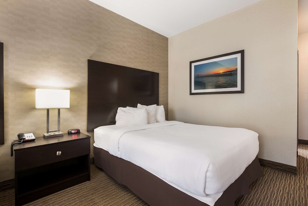 Business Room, 1 King Bed, Non Smoking, Refrigerator photo 3