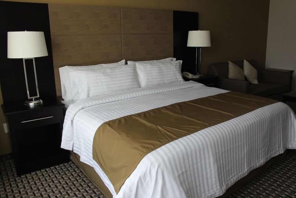 Premium Room, 1 King Bed