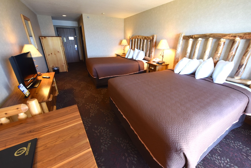 Room 2 Queen beds with Queen Sofa bed, Lakeview