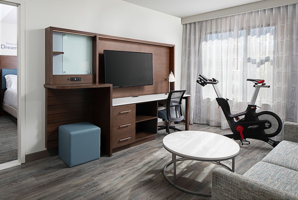 Suite, 1 King Bed with Sofa bed (W Stationary Bike) - Photo 5