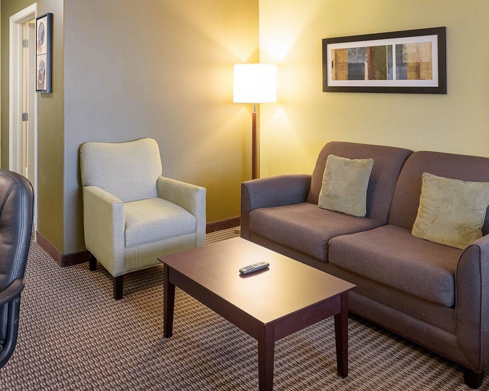 Studio Suite, 1 King Bed with Sofa bed, Accessible, Non Smoking photo 2