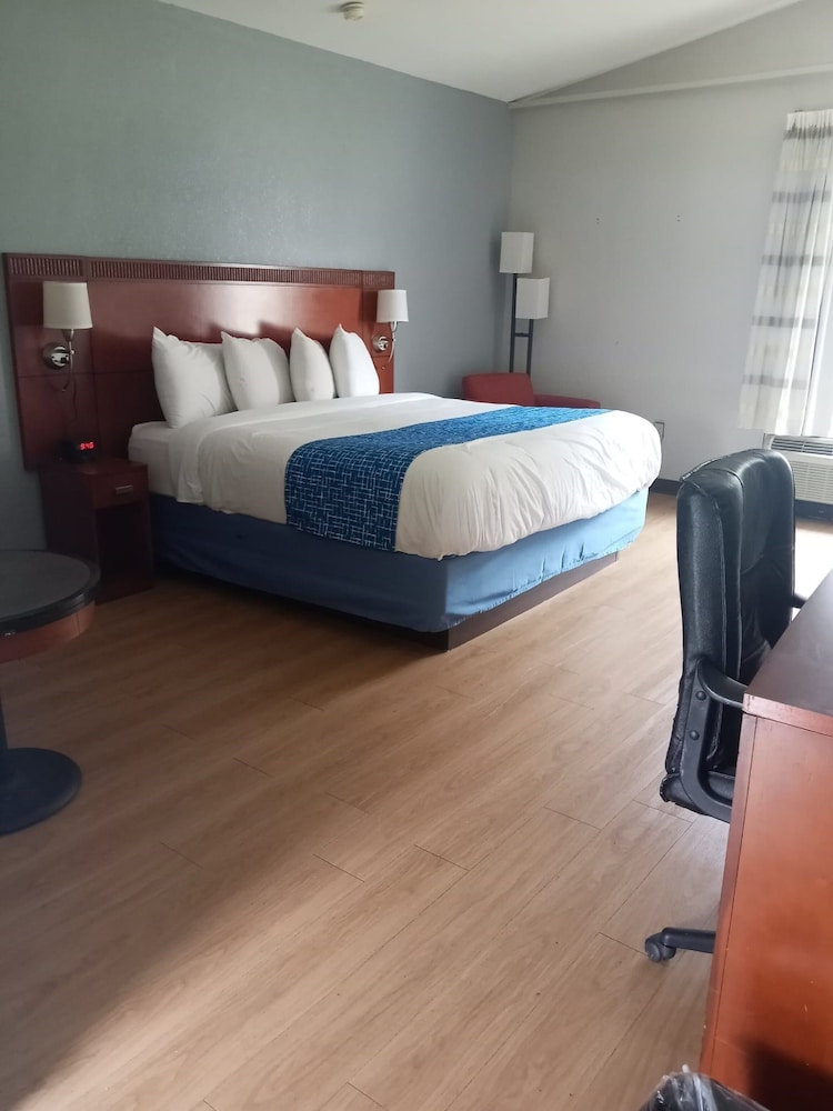 Room, 1 King Bed, Non Smoking