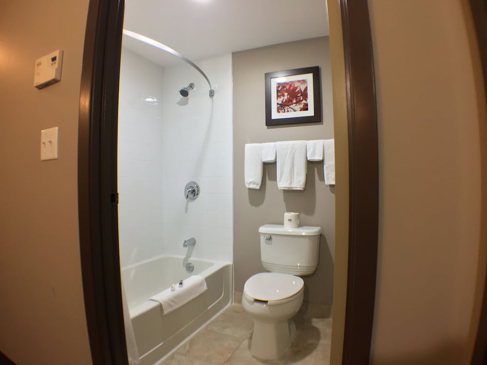 Suite, 1 Queen Bed photo 2
