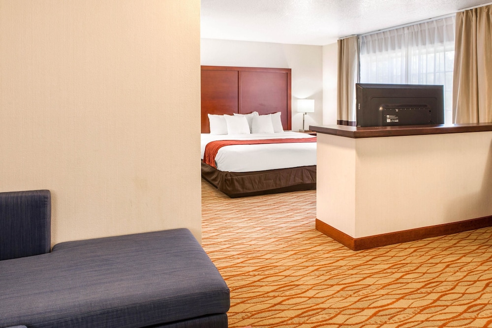 Suite, 1 King Bed, Non Smoking (Wet Bar) - Photo 4