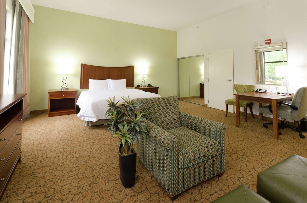 Studio, 1 King Bed, Accessible, Non Smoking (Mobility & Hearing, Roll-in Shower)