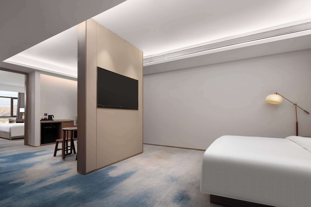 Deluxe Suite, 1 King Bed photo 3