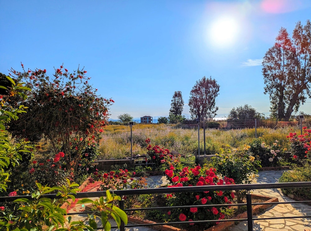 Deluxe Double or Twin Room, Partial Ocean View photo 2