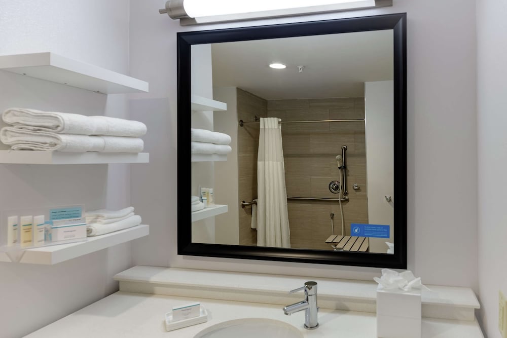 Room, 1 King Bed, Accessible, Bathtub (Mobility & Hearing) photo 3