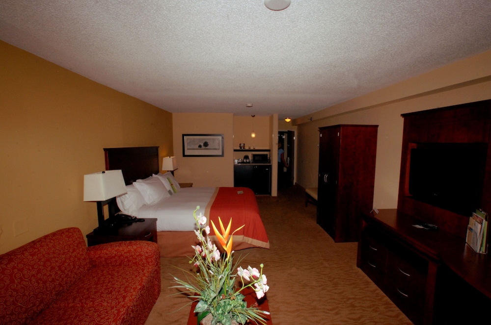 Deluxe Room, 1 King Bed, Accessible, Bathtub - Photo 5