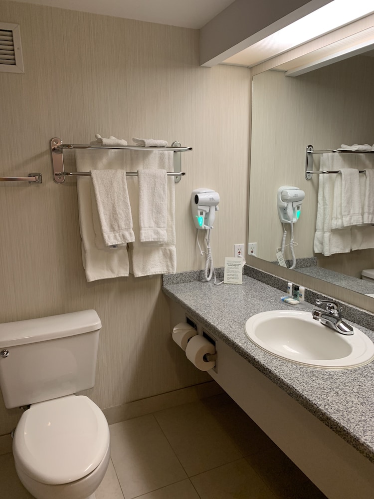 Executive Single Room, 1 King Bed, Non Smoking - Photo 2