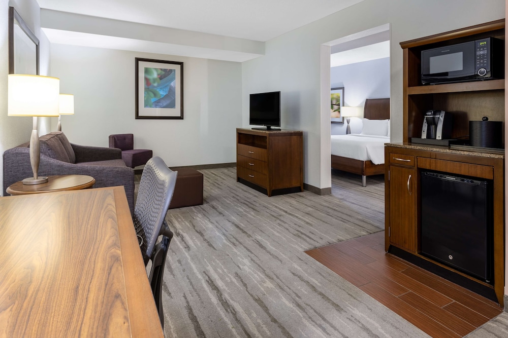 Suite, 1 King Bed, Hearing Accessible photo 1
