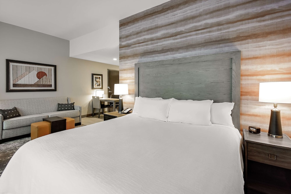 Premium Studio, 1 King Bed, Accessible