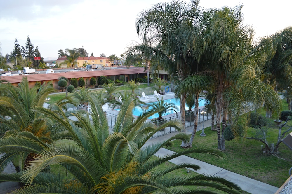 Executive Room, 1 King Bed, Balcony, Pool View - Photo 2