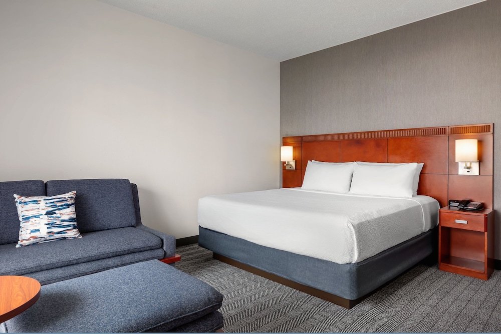 Room, 1 King Bed with Sofa bed (Mobility/Hearing Access, Roll-In Shwr) - Photo 3