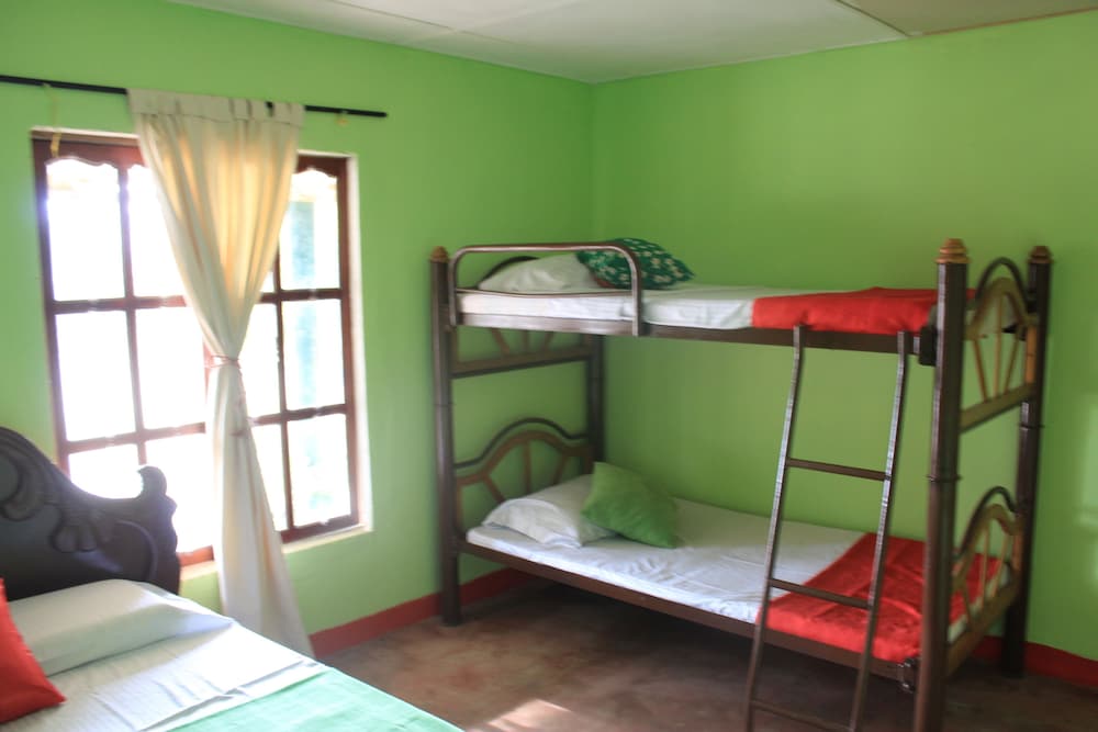 Triple Room photo 1