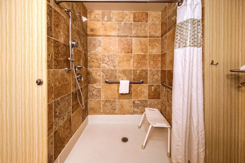 Standard Room, 1 King Bed, Accessible (Roll In Shower) - Photo 2