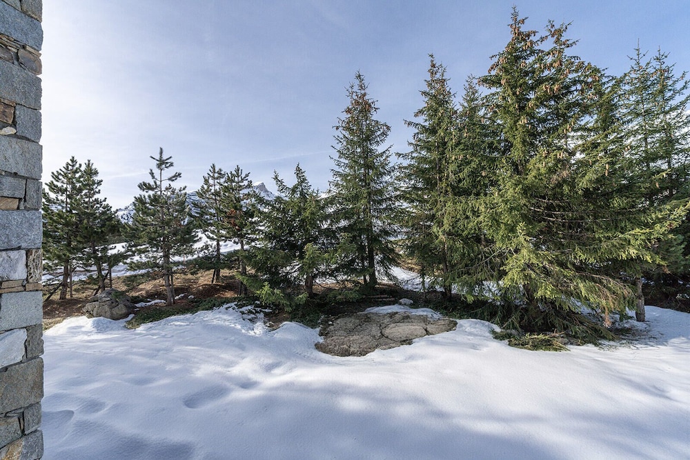 Room (Saulire,view on the trees,shower only)