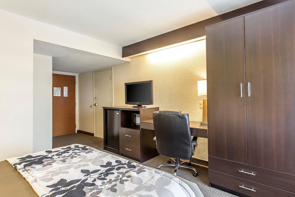 Standard Room, 1 Queen Bed, Accessible, Non Smoking - Photo 3