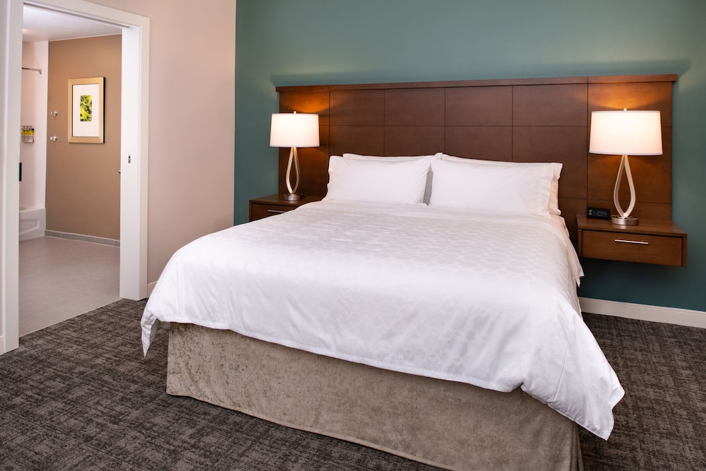 Suite, 1 King Bed, Accessible (Communications, Access Tub) - Photo 4