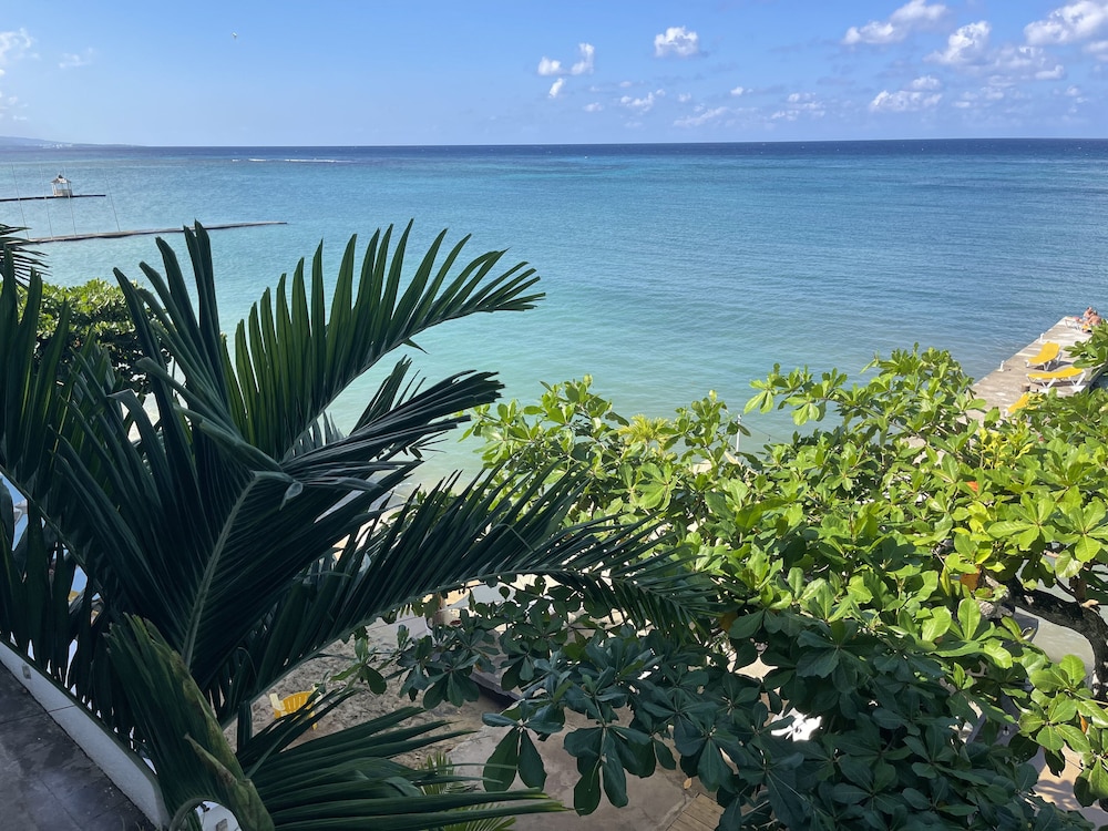 Luxury Room, 1 King Bed