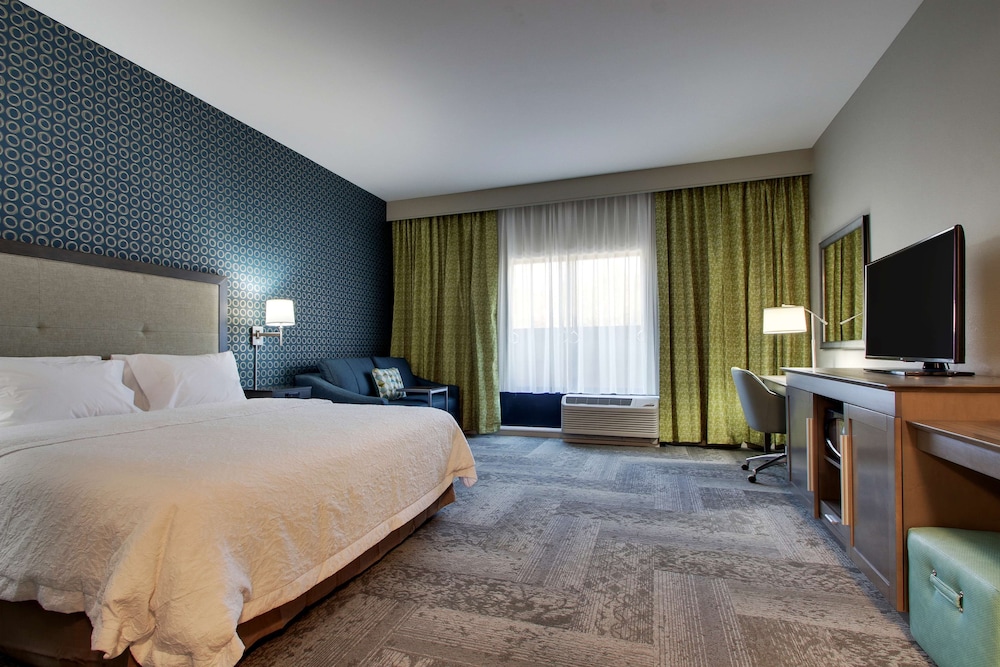 Room, 1 King Bed with Sofa bed, Accessible, Bathtub (Mobility & Hearing) photo 1