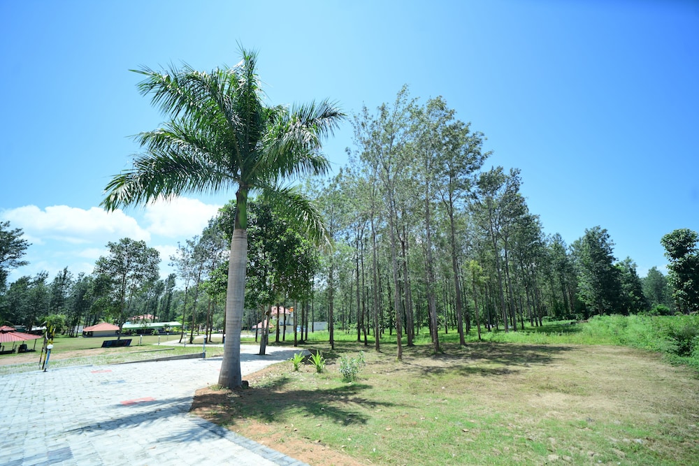 Economy Shared Dormitory photo 2