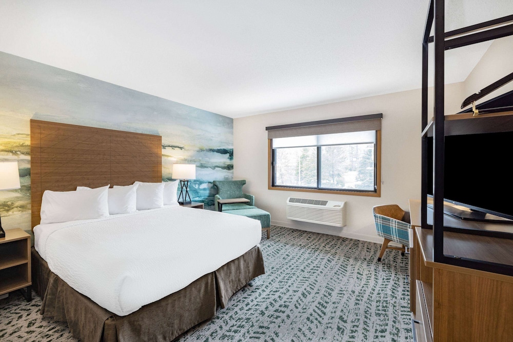 Room, 1 Queen Bed, Non Smoking photo 1