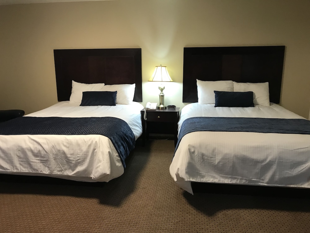 City Double Room, 2 Queen Beds, Refrigerator & Microwave photo 2