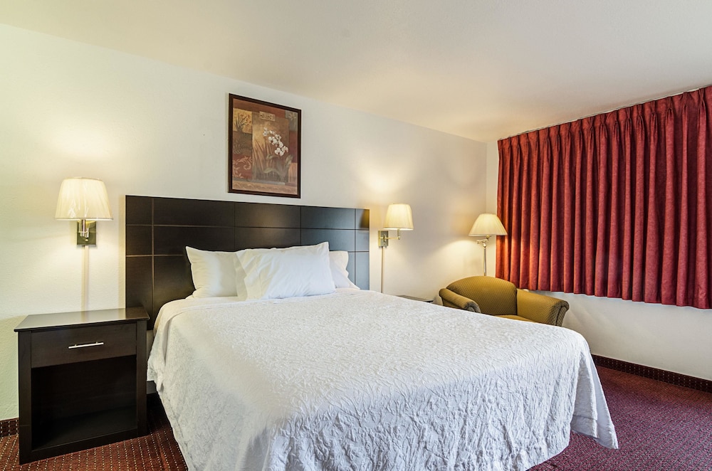 Standard Room, 1 Queen Bed, Non Smoking photo 1