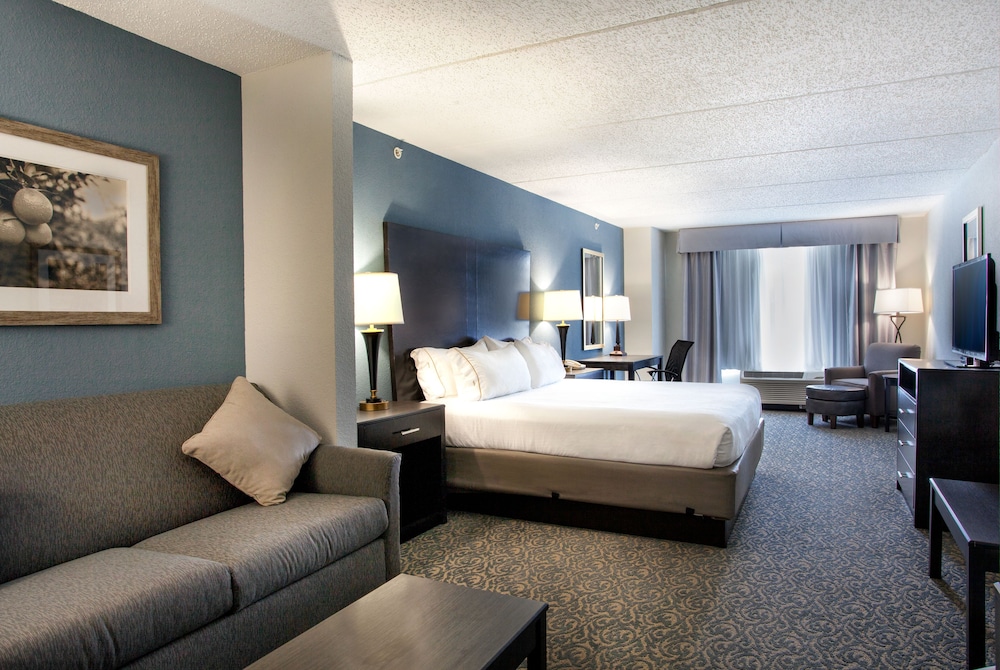 Suite, 1 King Bed - Photo 1