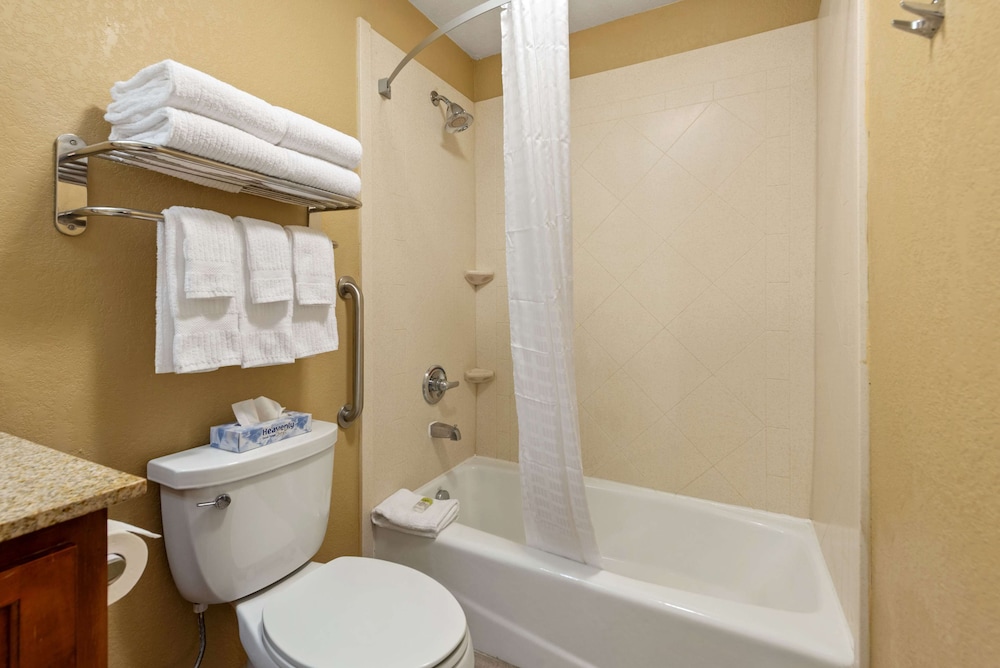 Standard Studio, 2 Double Beds, Non Smoking, Refrigerator & Microwave - Photo 7