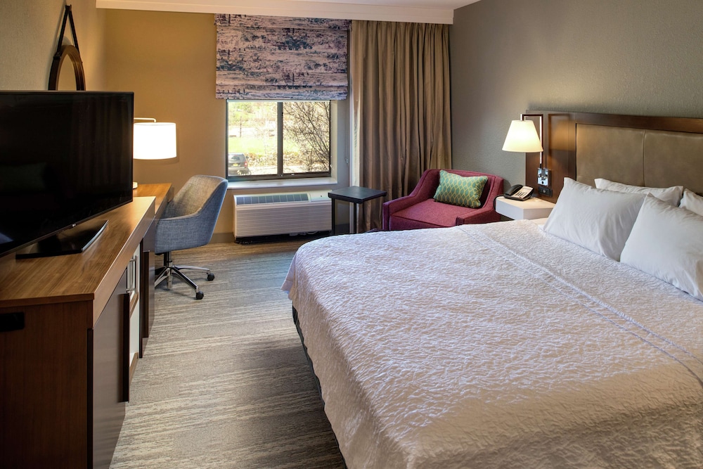 Room, 1 King Bed, Accessible, Non Smoking (Mobility &  Hearing) - Photo 1