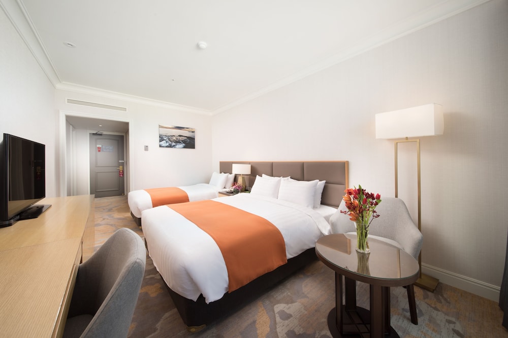 Standard Family Twin Room - Photo 5