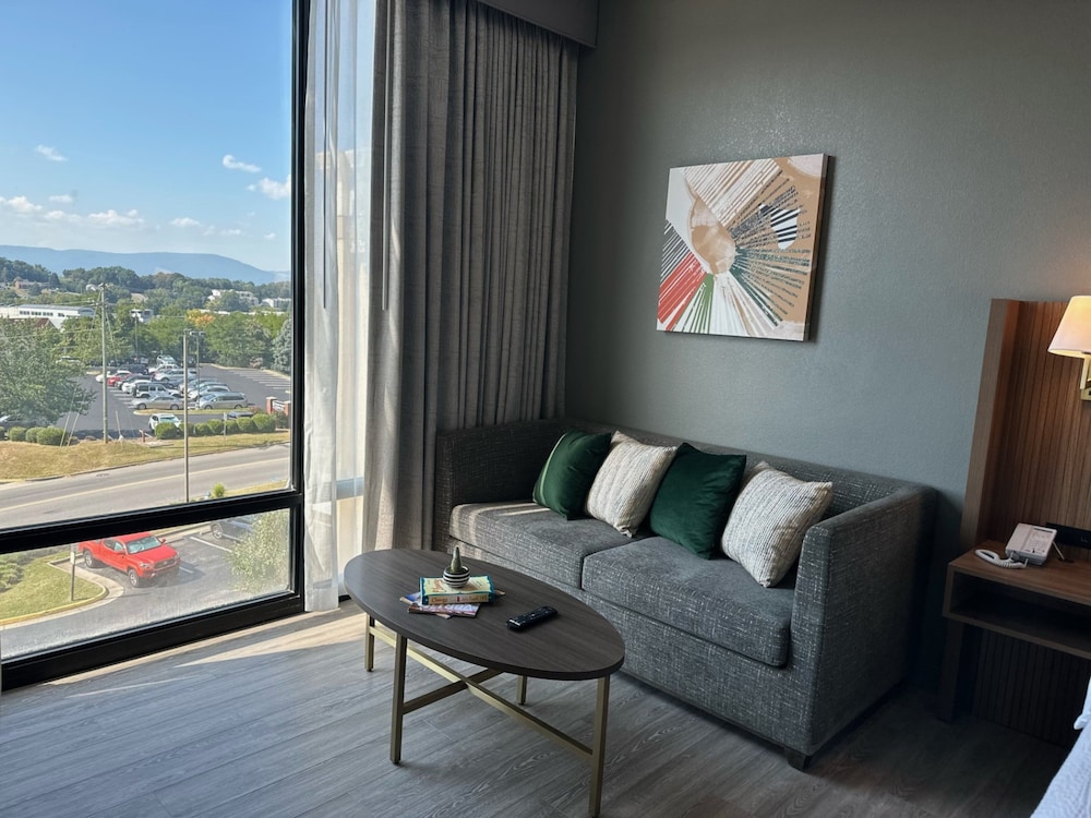 Premium Room, 1 King Bed, Mountain View - Photo 2