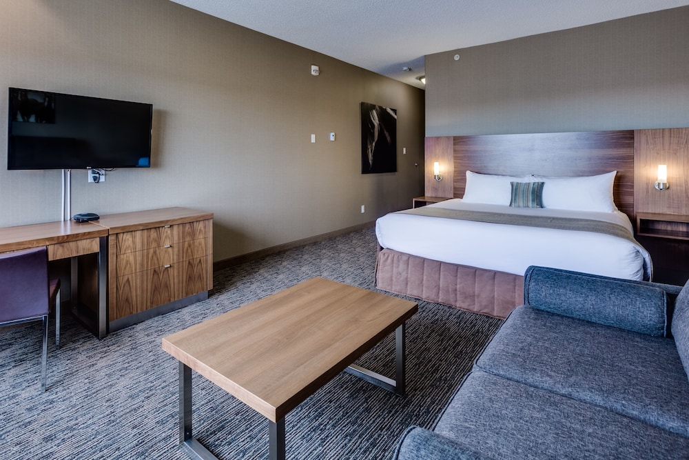 Elite Room, 1 King Bed photo 3