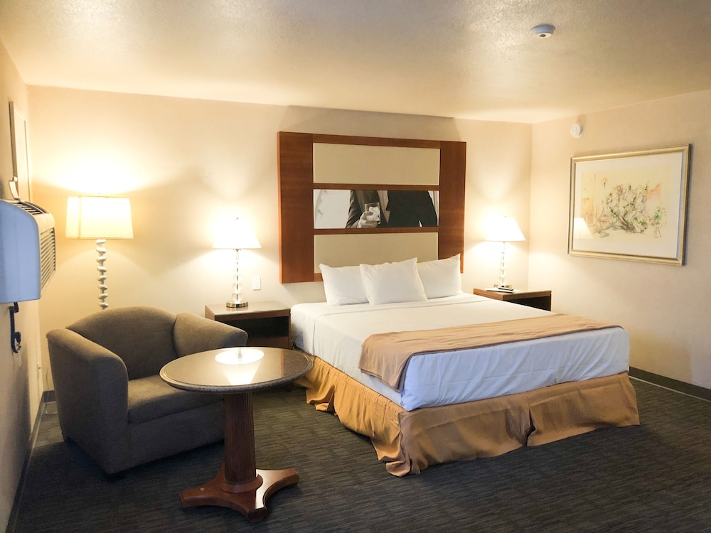 Luxury Single Room, Kitchenette photo 3