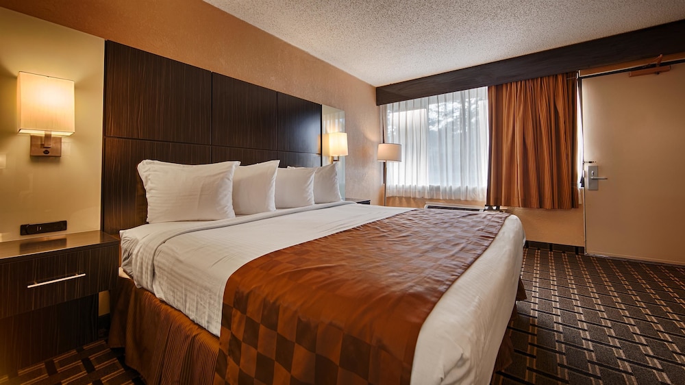 Standard Room, 1 King Bed, Smoking, Jetted Tub - Photo 2