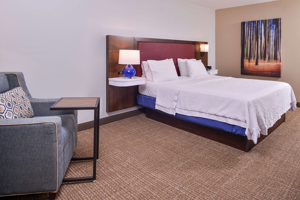 Room, 1 King Bed, Non Smoking photo 3