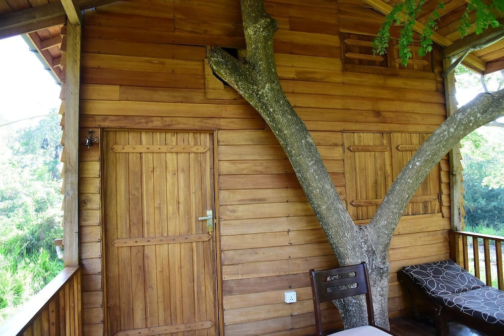 Superior Tree House, Non Smoking photo 3