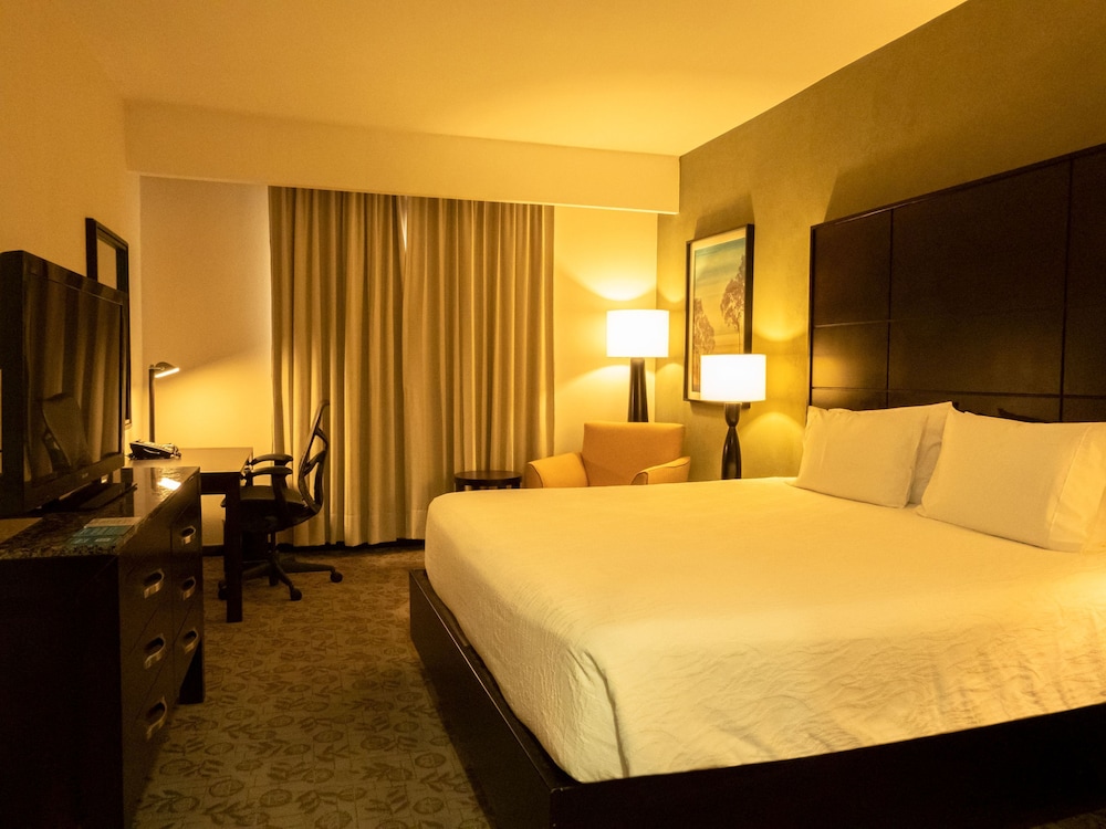 King bedroom evolution suite - Photo 3