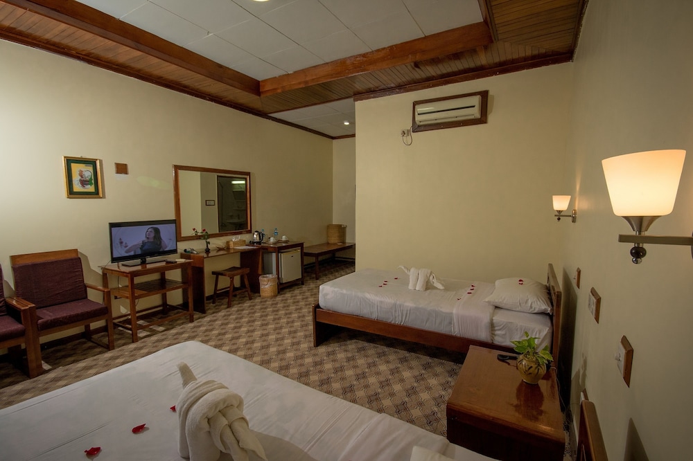 Deluxe Twin Room photo 2