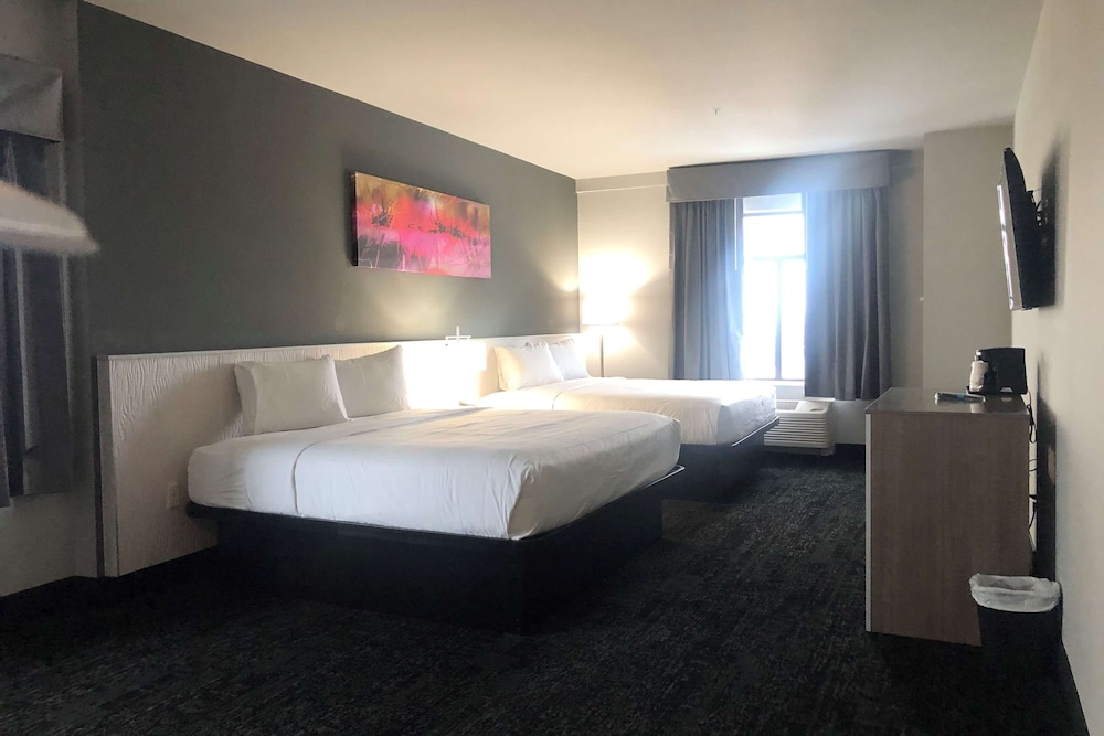 Studio Suite, Multiple Beds, Non Smoking - Photo 2