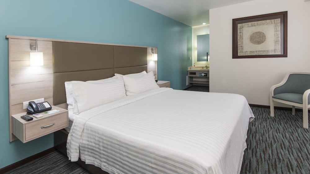 Suite, 1 King Bed - Photo 3