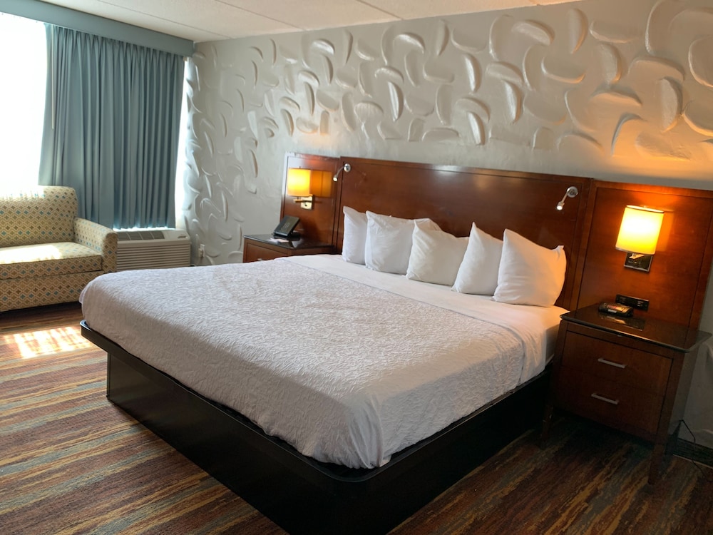 Standard Single Room - Photo 2