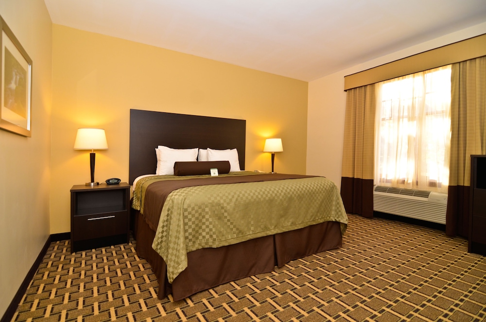Standard Room, 1 King Bed, Non Smoking, Refrigerator & Microwave - Photo 4